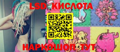 индика Рыбинск