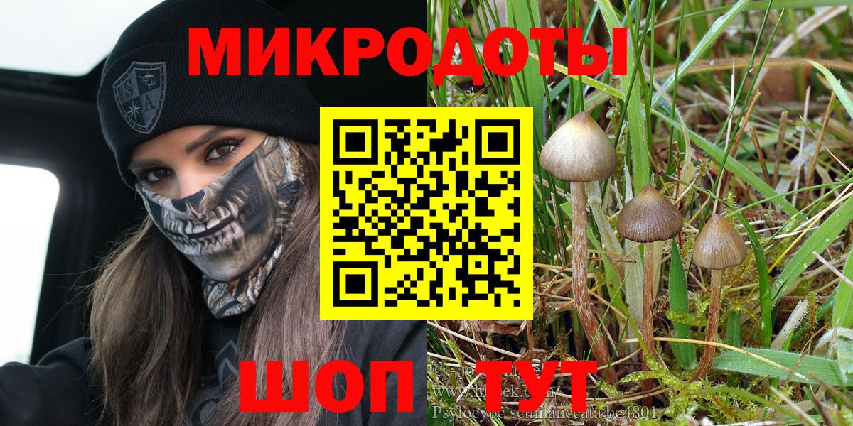 Галлюциногенные грибы мицелий  Галлюциногенные грибы Cubensis  Обнинск  Вход с VPN 