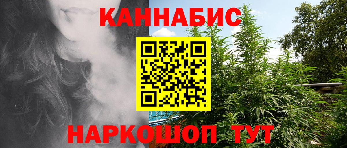 Каннабис планчик Обнинск